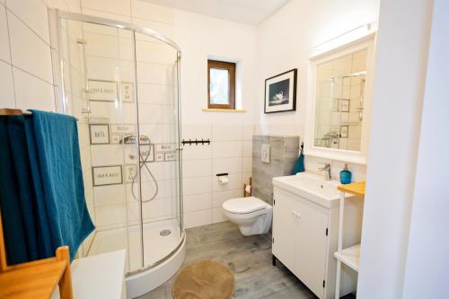 a bathroom with a shower and a toilet and a sink at Winiec Family Houses in Winiec