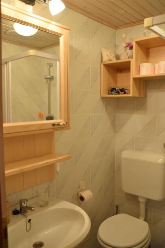 La salle de bains est pourvue d'un lavabo, de toilettes et d'un miroir. dans l'établissement Farm Stay "Alpine Dreams", à Solčava