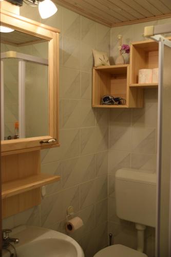 a bathroom with a toilet and a sink and a mirror at Farm Stay "Alpine Dreams" in Solčava