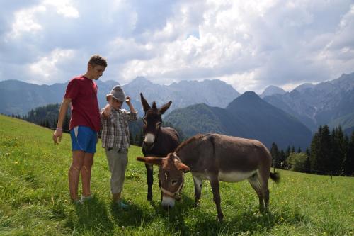 a man and a boy standing in a field with two donkeys at Farm Stay "Alpine Dreams" in Solčava