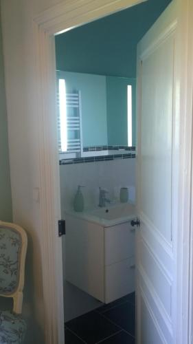 une salle de bain avec un lavabo et un miroir dans l'établissement Maison Du Cheval, à Chalais