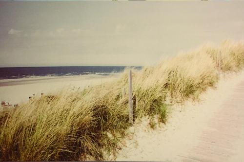 a beach with tall grass and a path to the beach at Appart' Spa et Sauna Privatif Au Cœur De Beaune in Beaune