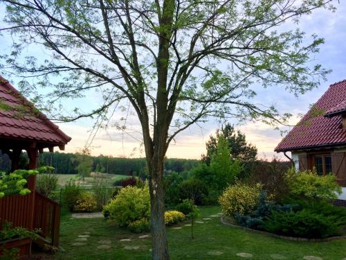 a tree in a yard next to a house at Ignacówka in Kobyla Góra