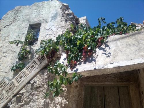 Φωτογραφία από το άλμπουμ του Dream Residence στον Άγιο Ιωάννη