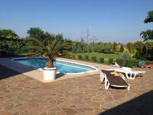 a pool with a palm tree and a table and chairs at Villa Diana in Karolino-Buhaz