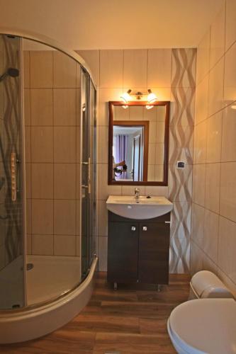 a bathroom with a sink and a shower and a mirror at Na Wierchu in Bukowina Tatrzańska
