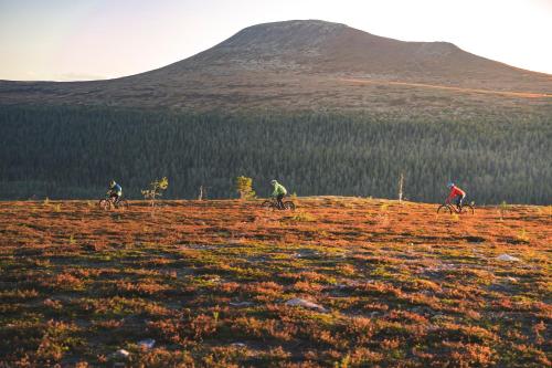 a group of people riding bikes in a field at Pernilla Wiberg Hotel in Idre