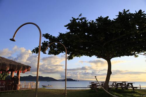a tree and a street light next to the water at Ishigaki Seaside Hotel in Ishigaki Island
