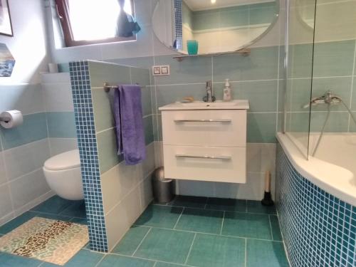 a bathroom with a sink and a toilet and a mirror at Sophia Cozy Self Catering Apartment in Dolní Břežany