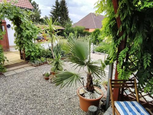 a garden with potted plants in a yard at Sophia Cozy Self Catering Apartment in Dolní Břežany