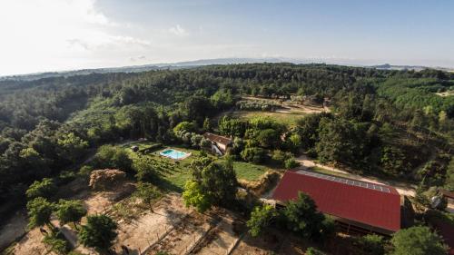 Príroda v okolí of the country house