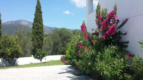 Photo de la galerie de l'établissement Digkas Apartments, à Kato Korakiana