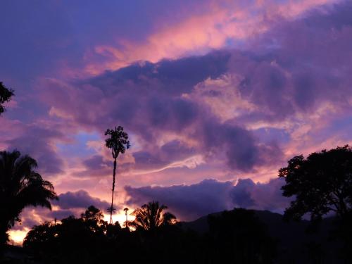 a sunset with a palm tree and clouds in the sky at Casa Campo alojamiento campestre para descanso en Calarcá Quindío in Potosí