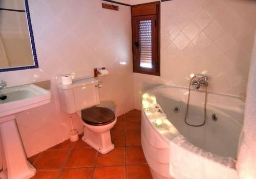 a bathroom with a toilet and a tub and a sink at Los Gañanes in Puebla de Don Rodrigo