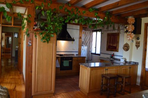 una cocina con armarios de madera y plantas colgando del techo en Altikarra I, en Undiano