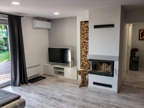 Televízia a/alebo spoločenská miestnosť v ubytovaní Lóczy Apartman