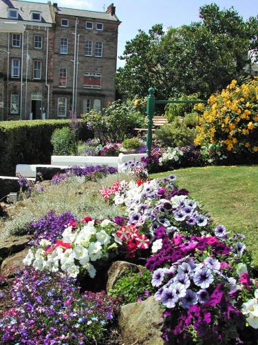 a garden of flowers in front of a building at Whitehaven Guest House in Whitby