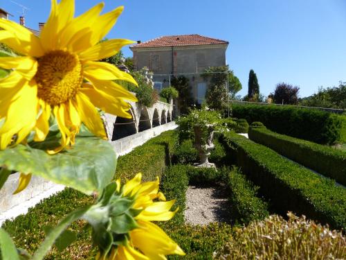 a sunflower in a garden with a building in the background at Château du Grand Jardin in Valensole