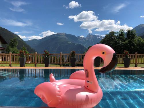 a pink inflatable swan in a swimming pool at Olympia-Relax-Hotel Leonhard Stock in Finkenberg