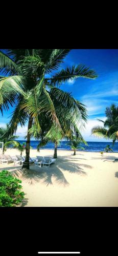 Caribbean Beach Cabanas