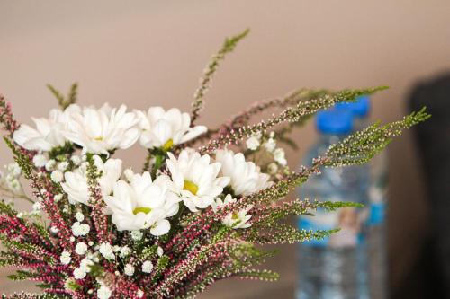 a bouquet of white flowers in a blue vase at Ania Apartamenty in Chochołów