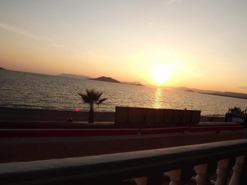 a sunset over the water with a palm tree at Olimpia Hotel in Fethiye