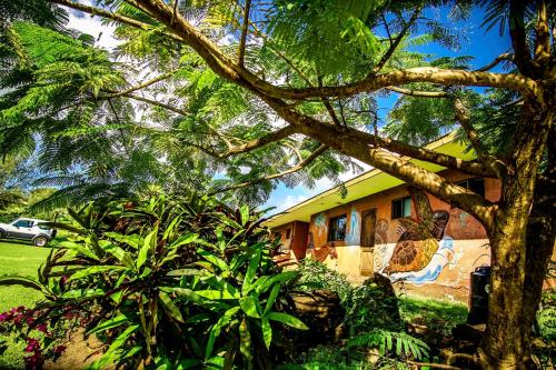 a house with a tree in front of it at Cabañas Tokerau in Hanga Roa