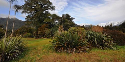 
a large field with trees and shrubs at Westwood Lodge in Franz Josef
