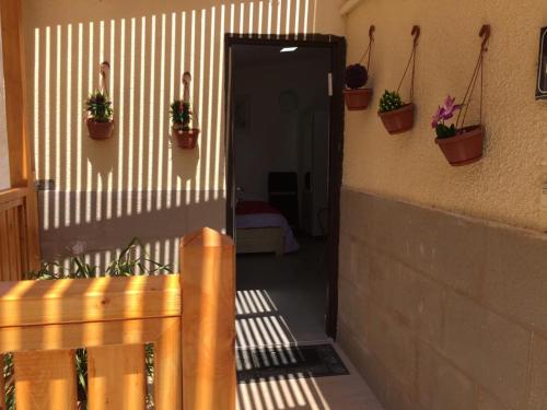 un couloir avec des plantes en pot sur le côté d'un bâtiment dans l'établissement The Rosen's studio Place, à Eilat