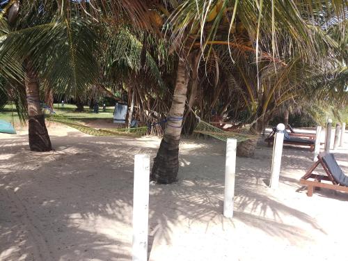 a hammock between two palm trees on a beach at Villa Nilaveli Cabana in Nilaveli