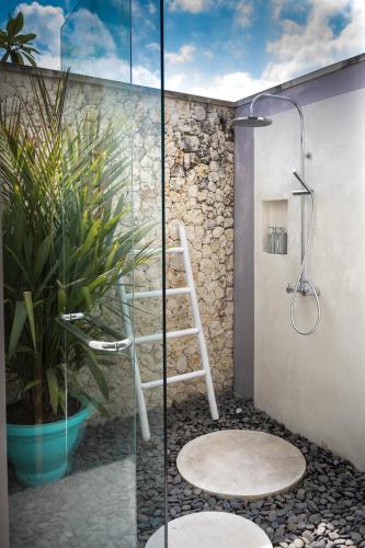 a glass shower stall with a ladder and a plant at Silversand Villa in Tanah Lot