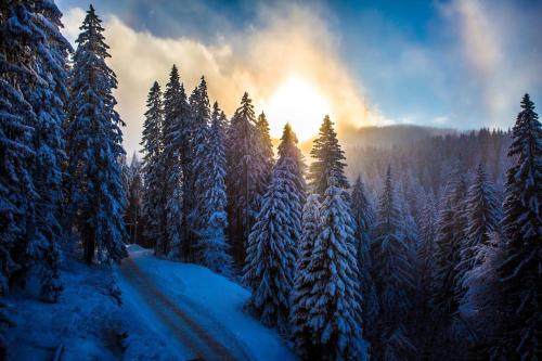 Gallery image of Sunny Hills Ski&Wellness in Pamporovo
