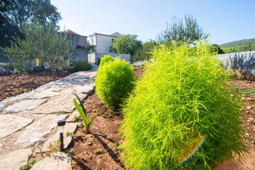 Φωτογραφία από το άλμπουμ του Apartmani Perkovic σε Gustirna