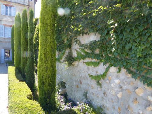 a wall with a bunch of green plants on it at Château du Grand Jardin in Valensole