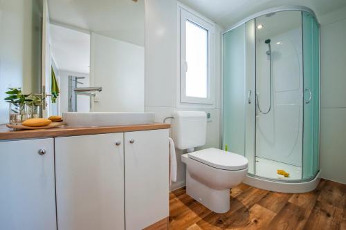 a bathroom with a toilet and a shower at Adria Village Superior Mobile Homes in Pakoštane