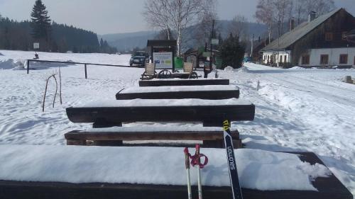 a set of steps in the snow with skis at Apt.Jana ,apt.Terezka in Stožec