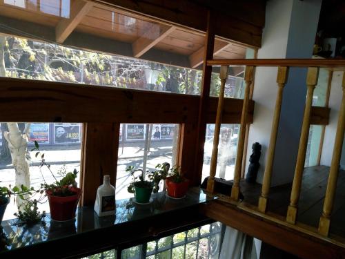 a balcony with potted plants on a window sill at Bicicleteria Don Perez in San Isidro