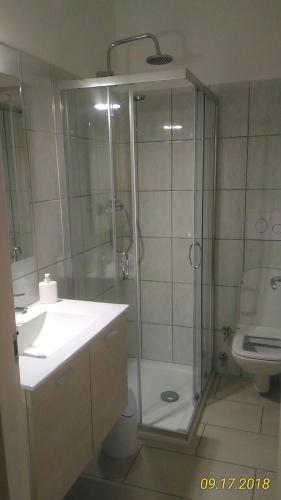 a bathroom with a shower and a sink and a toilet at B&B Madau in Samughèo