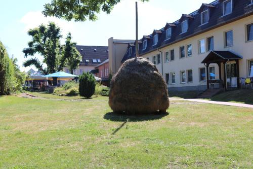 a large rock sitting in the grass in front of a building at Radduscher Hafen in Vetschau