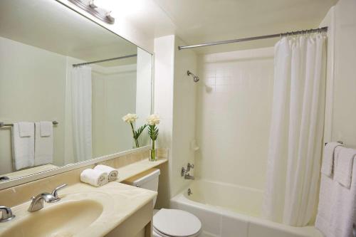 W łazience znajduje się umywalka, toaleta i lustro. w obiekcie Pagoda Hotel w mieście Honolulu