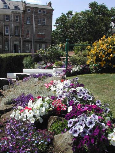 a garden of flowers in front of a building at Whitehaven Guest House in Whitby