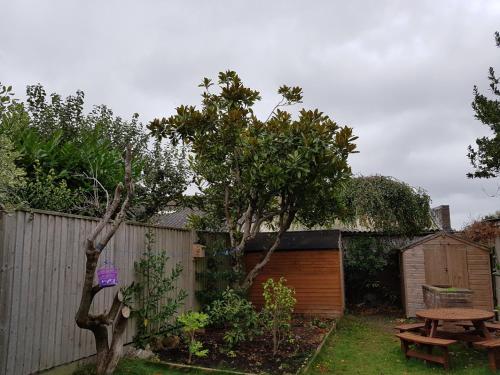 a backyard with a fence and a picnic table and a tree at Seaside holiday home in Exmouth