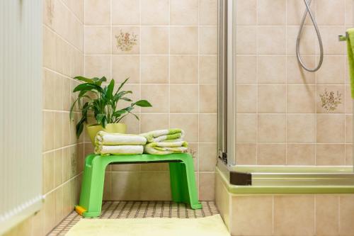 La salle de bains est pourvue d'un banc vert et d'une douche. dans l'établissement Ferienwohnung Harzblick, à Lautenthal