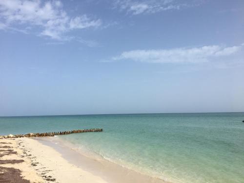 a beach with a group of people in the ocean at Cabanas Jaalkab in Chelem