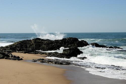 a wave crashing on the rocks on the beach at Thatch by the Sea in Blythedale