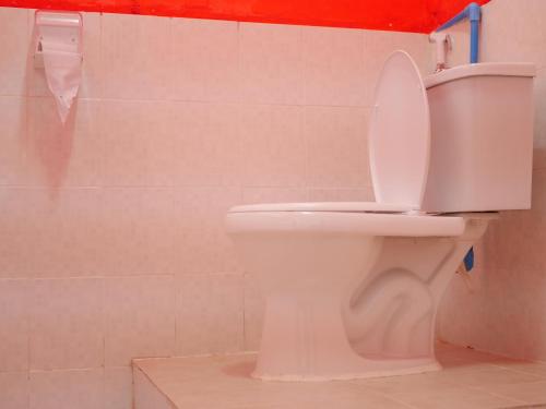 a white toilet in a bathroom with a shower at Y Not Laos Hostel in Luang Prabang