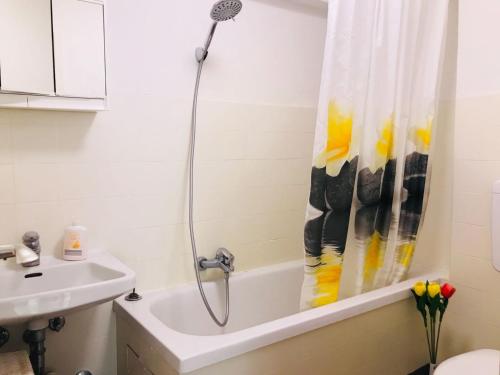 a bathroom with a shower curtain and a sink at Im Herzen von Rommelshausen in Kernen