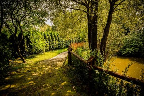 a fence on a path next to a river at Lodownia in Szydłowiec