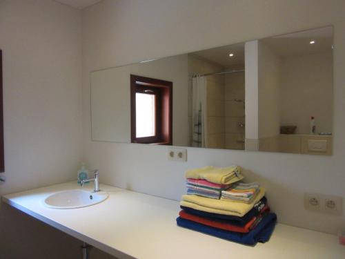 DranouterにあるDen Ouden Speelbergのバスルーム(シンク、鏡、タオル付)