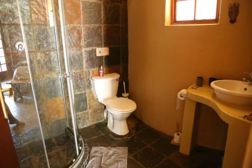 a bathroom with a shower and a toilet and a sink at Bona Intaba Game Lodge in Hoedspruit